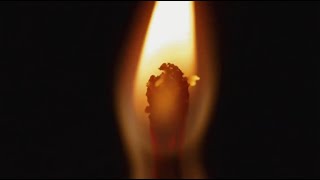 The Denial of Death: Why We Fear Nothingness
