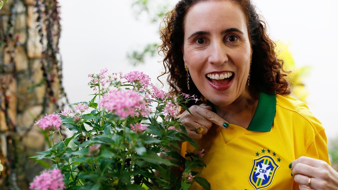 🌷🇧🇷 É PENTAS! | Nô Figueiredo