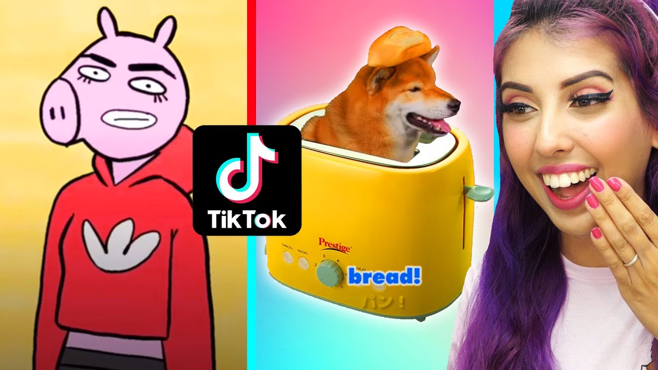 TIK TOK MEMES before it gets banned 😂✋🏻
