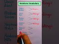 English Relations Vocabulary 📝