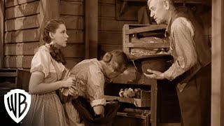 The Wizard Of Oz 75Th Anniversary Miss Gulch Warner Bros. Entertainment