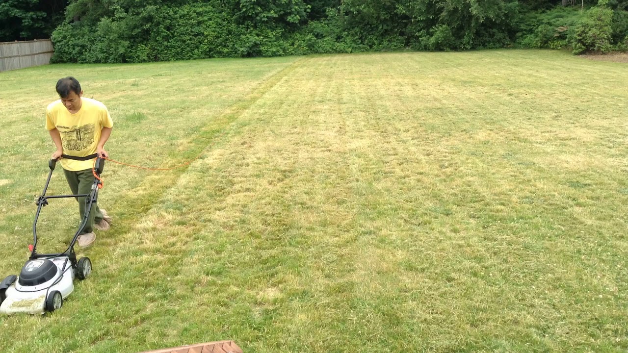 Lawn mowing YouTube
