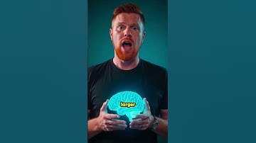 Your Brain Is a Receiver for a Universal Consciousness Field