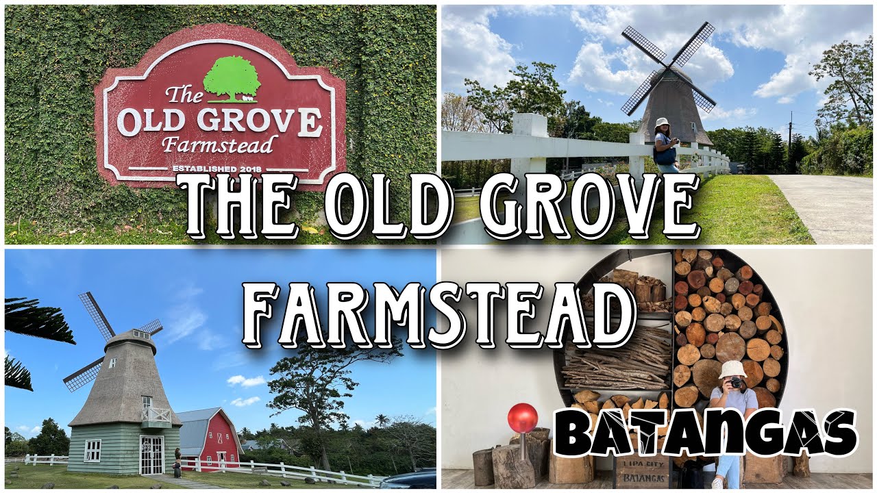 Day Tour at The Old Grove Farmstead 🐑 Lipa,Batangas📍 YouTube