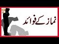 Watch Roshni Sab Kay Liye - 19th February 2019 - ARY Qtv Online In HD