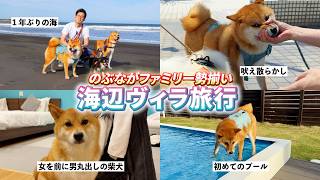 2男3犬ファミリーで千葉へ旅行！久々の海で癒し旅✨