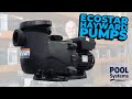 Introducing the Hayward EcoStar Pump