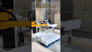 Zero Manual Stacking Palletizing Robot#pp #depalletizing #palletizing #robotics #feeding #factory