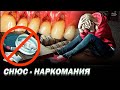 Вред СНЮСА. Что происходит с организмом при употреблении снюса?