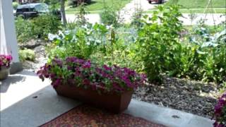 Edible Landscape Design's Best of  2012