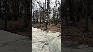 Мечта любого райдера, пустой парк! #edm #bmx #mtb #skatepark #рек