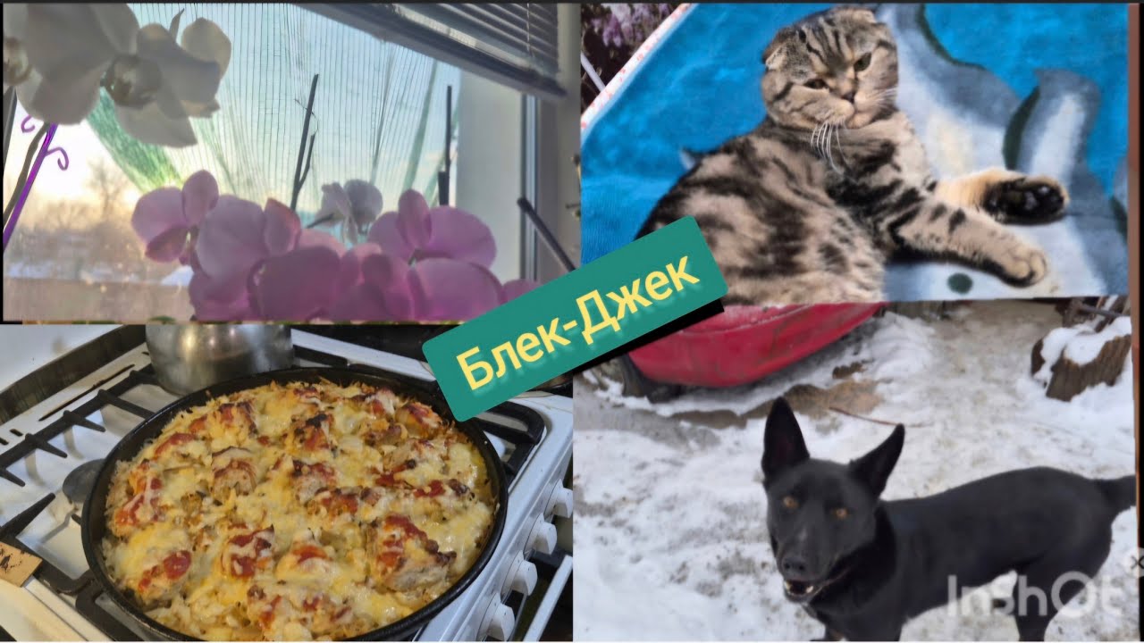 ДІТКИ ЗАВІТАЛИ  В ГОСТІ//КАПУСТНО-куряча запіканка//Ожеледиця нестрашна//