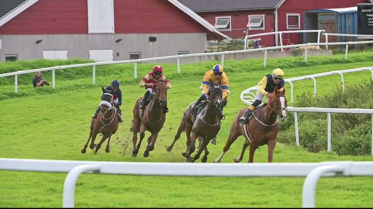 Øvrevoll Galoppbane / 31.08.2023 / 18:15 Cet / Race #2 / 1600Gr / Simian Handicap