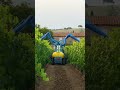 NEBULIZZATORE in vigneto con luce UV
