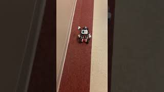 Celebrity Robot project 1 final demo Net Worth