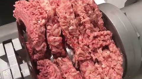 Bone & Meat Separator Machine