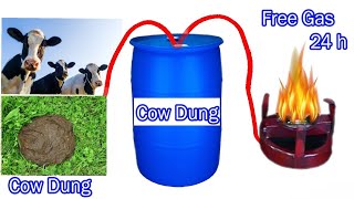 Biogas production  / low cost gas at home/ vegetables and cow dung for biogas at home #biogasplant screenshot 3