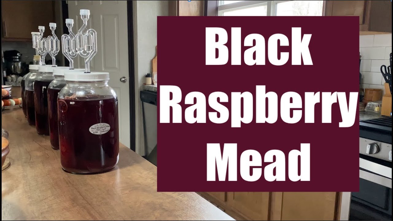 Black Raspberry Mead 🍯🍷 YouTube