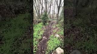 Provolt Recreation Site Provolt, Or, Jan 2026