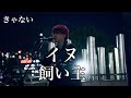 【 きゃない 】『 イヌ 』曲が繋がるアレンジ!? 《 飼い主 》川口路上ライブ 2026.1.21