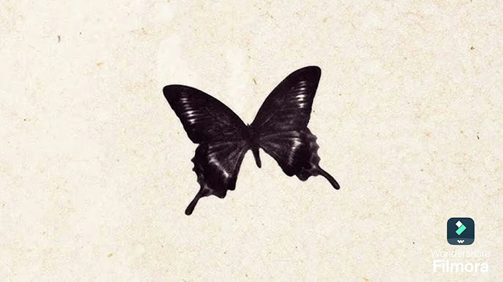 Marina- Butterfly ( Male Version)