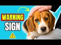 10 WARNING Signs Your Dog Is EMOTIONALLY Sick | Dog Behavior Explained
