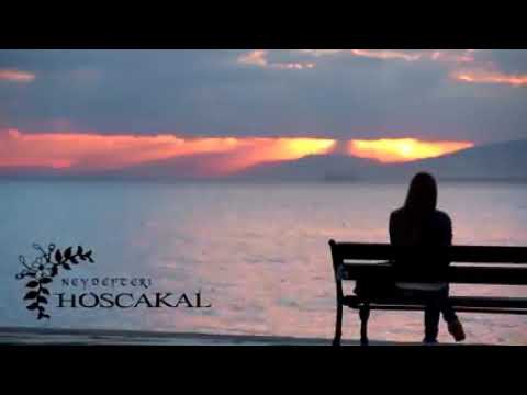 Hoşçakal (instrumental) Duygusal  موسيقى تركيه حزينة 😢