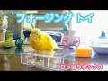 セキセイインコ ピコ フォージングトイでおやつをゲット！Foraging Toy