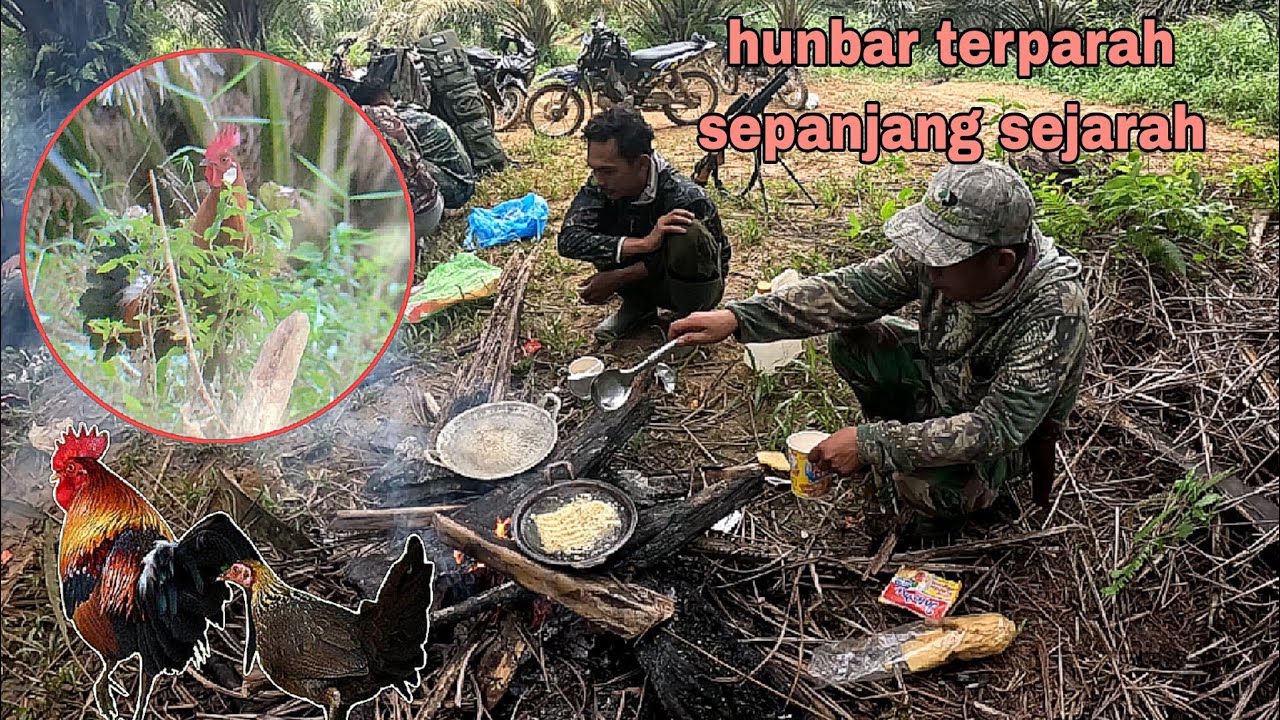 Survival di alam liar‼️2 hari satu malam BERBURU AYAM HUTAN hasil di luar nalar 