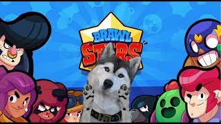 ПЕСИК ИГРАЕТ ЛАПКАМИ /БРАВЛ СТАРС СТРИМ/BRAWL STARS STREAM/  ВЫБИЛ ЛЕГУ , ЛЕОНА ?