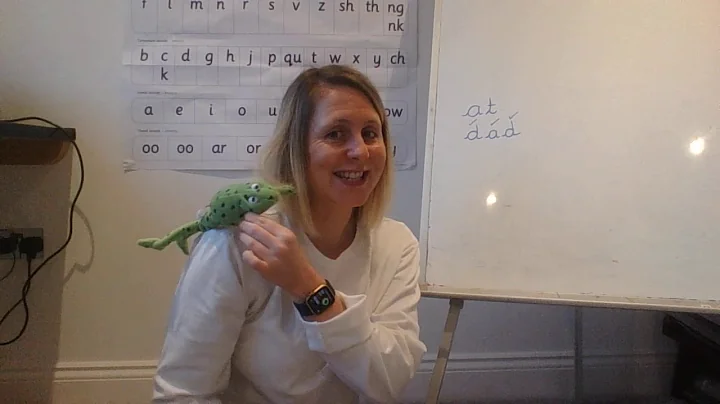 RWI Phonics: Set 1 Spelling 1
