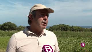 Els productors de Menorca creuen que els nous canals de comercialització són la clau per s