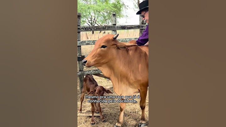 Our best friend on the farm #cattlesindi #farm #cattle rancher