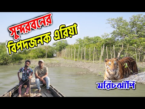 Topda jinsiy aloqa haqida tafsilotlar