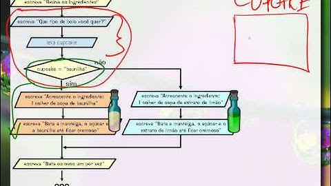 Algoritmos e Programação: Do Fluxograma ao Programa