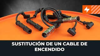 barrera Objeción pausa Cómo sustituir los Cables De Bujías: Guías y vídeos tutoriales paso a paso