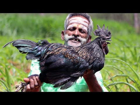 BLACK CHICKEN !!! Kadaknath Biryani Recipe prepared by my daddy Arumugam / Village food factory