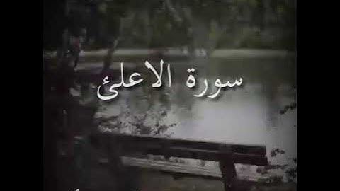 سورة الاعلئ|الشيخ عمر البيضاني |حالات واتس اب قرآن كريم