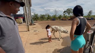 AYRA FOI COM TOE PEGAR A BEZERRINHA 