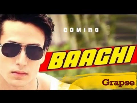 baaghi:-a-rebel-for-love