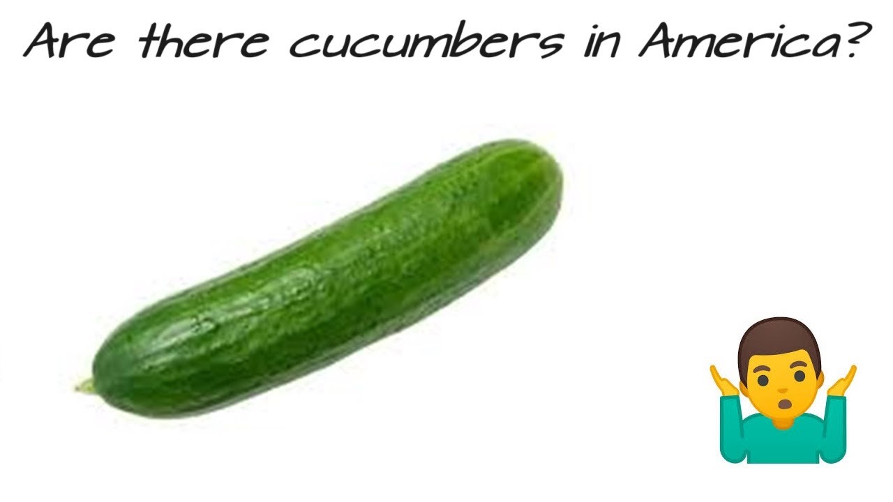 Baka Eigo Sensei 2: Do You Have Cucumber In America?
