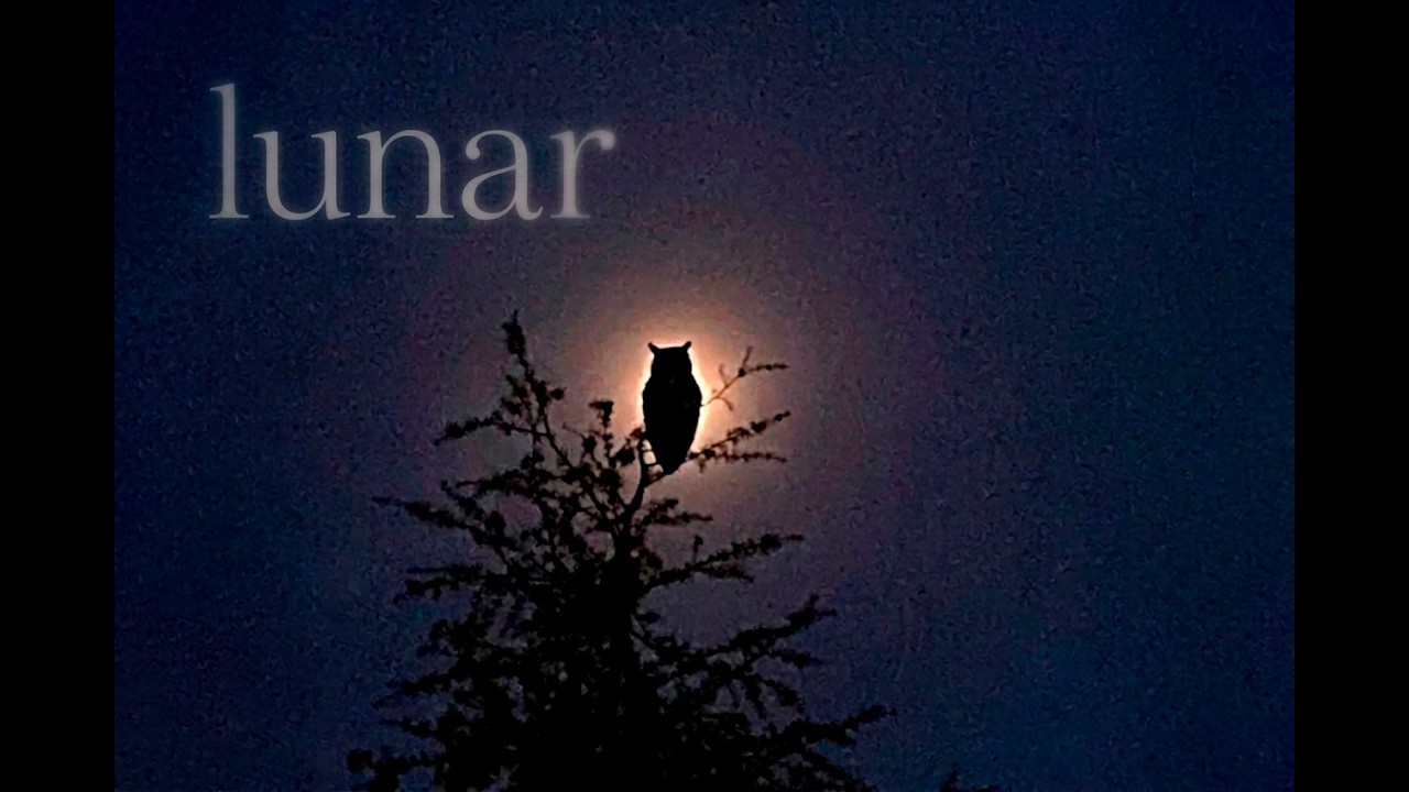 Watch LUNAR - ProdbyDoku on YouTube Watch LUNAR - ProdbyDoku on YouTube