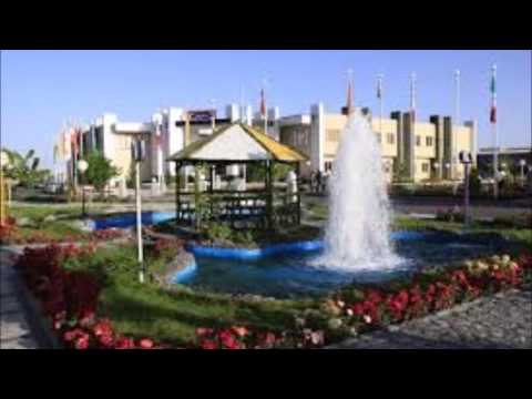 نگار مرا ده به وقت سحر