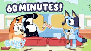live let s play hospital bluey doctor dress up 1 hour fun
