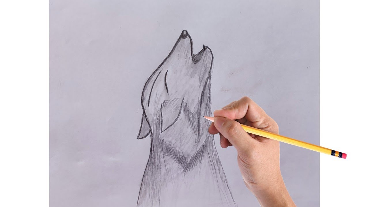 How to draw Fox easy Step by Step | Simple Outline Drawing of Fox | Head of Fox Drawing | 