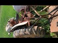 How to use a Bush Hog With Ford 8n [[How to Attach and Adjust]] With Over Run Clutch