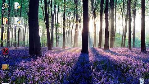 小甲鱼Python零基础教程： 065GUI的终极选择：Tkinter2