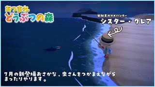 【あつ森】7月になったぞ、どうぶつの森！【にじさんじ/シスター・クレア】