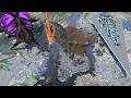 Monster Size Comparison | View from the sky