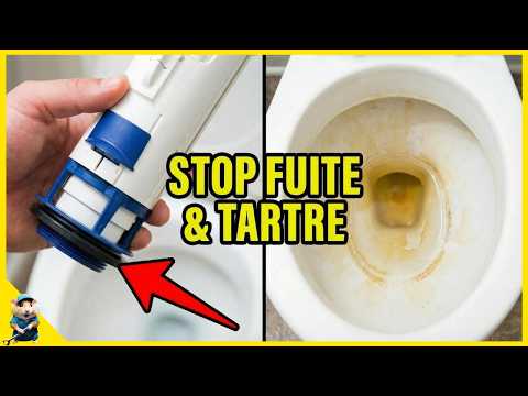 Ce petit bruit aux WC vous coûte une fortune